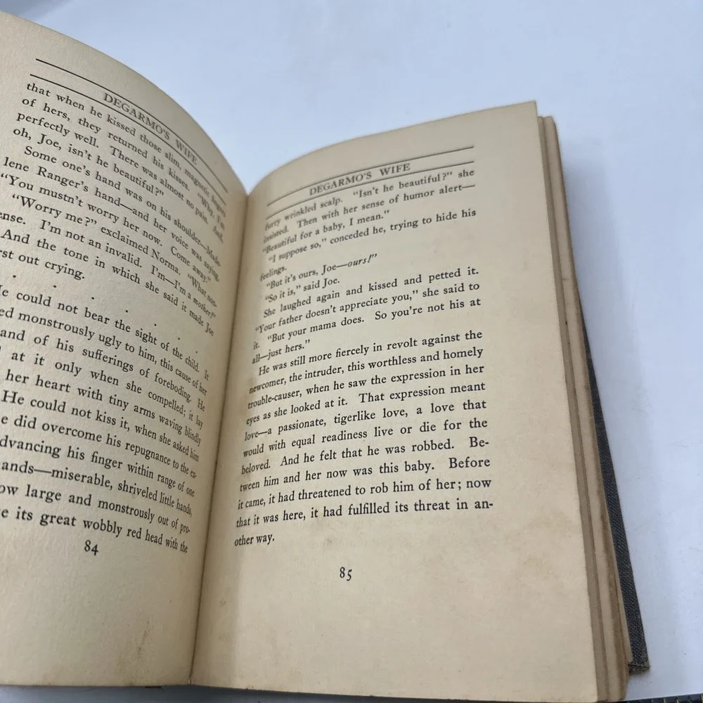 Degarmo's Wife and‎ Other Stories 1913 Hardcover, David Graham Phillips,
